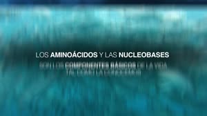 Los Componentes Basicos De La Vida